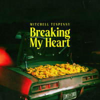 Breaking My Heart (Single)