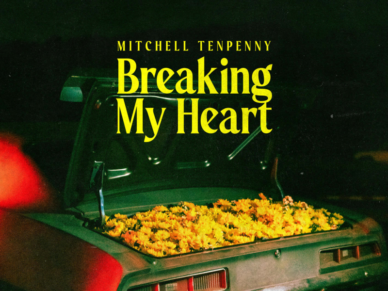 Breaking My Heart (Single)