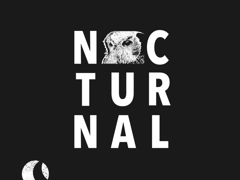 Nocturnal 008 (Single)