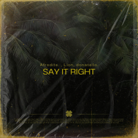 Say It Right (Single)