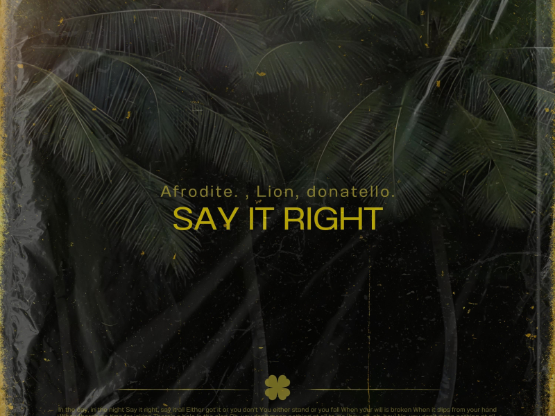 Say It Right (Single)