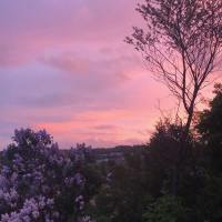 the morning after (Single)