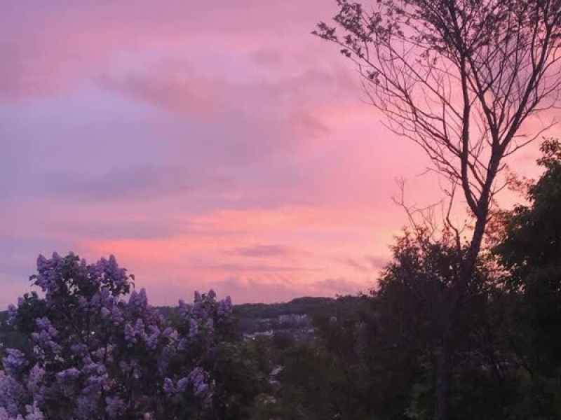 the morning after (Single)