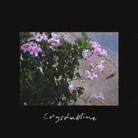 Crystalline (Single)