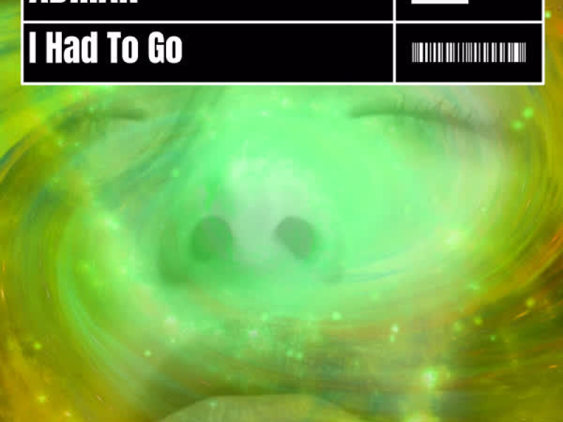 I Had To Go (Single)