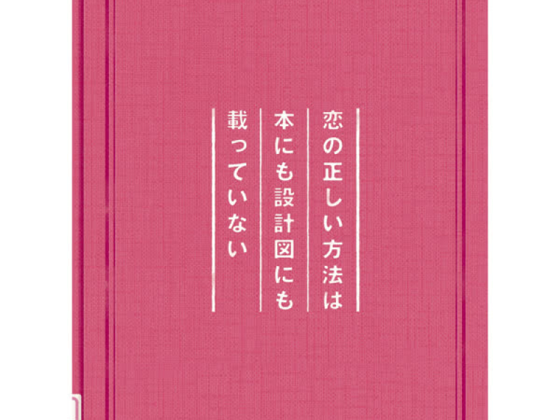 Koino Tadashii Houhouwa Honnimo Sekkeizunimo Notteinai