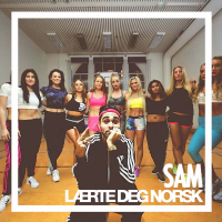 Lærte deg norsk (remix) (Single)