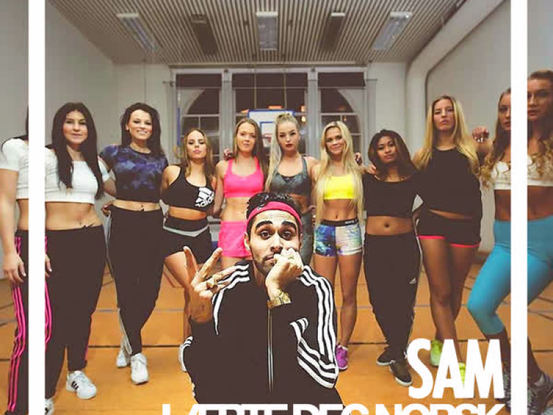 Lærte deg norsk (remix) (Single)