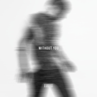 Without You (Acoustic Version) (Single)