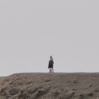 transparent (Single)