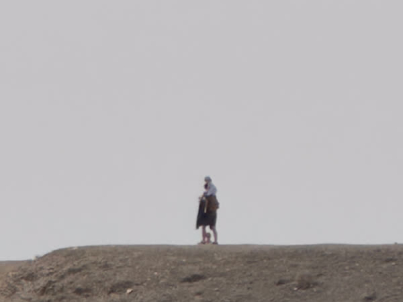 transparent (Single)