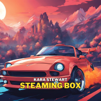 Steaming Box (Single)