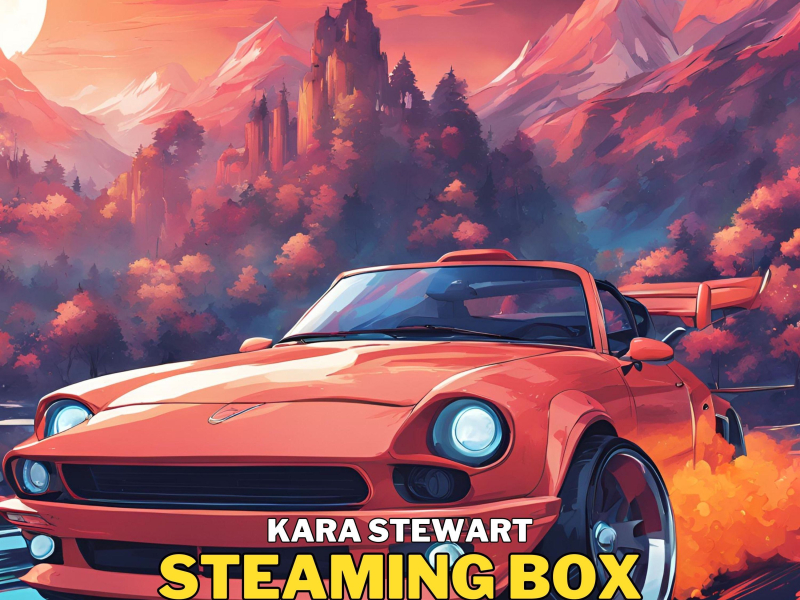Steaming Box (Single)