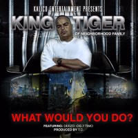 What Would You Do? (feat. Deezo & Timo) (Single)