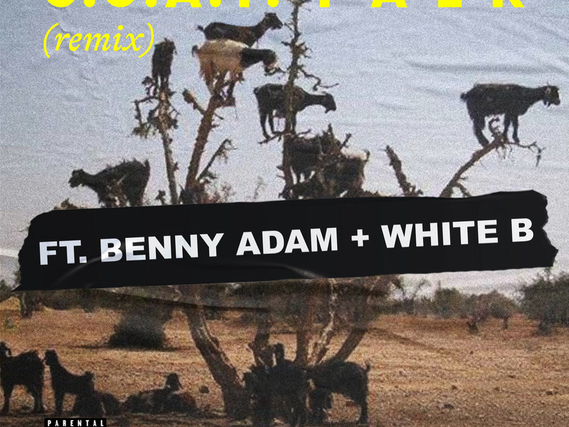 G.O.A.T. Talk (Remix) (Single)