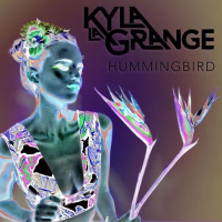 Hummingbird (OX2 Remix) (Single)