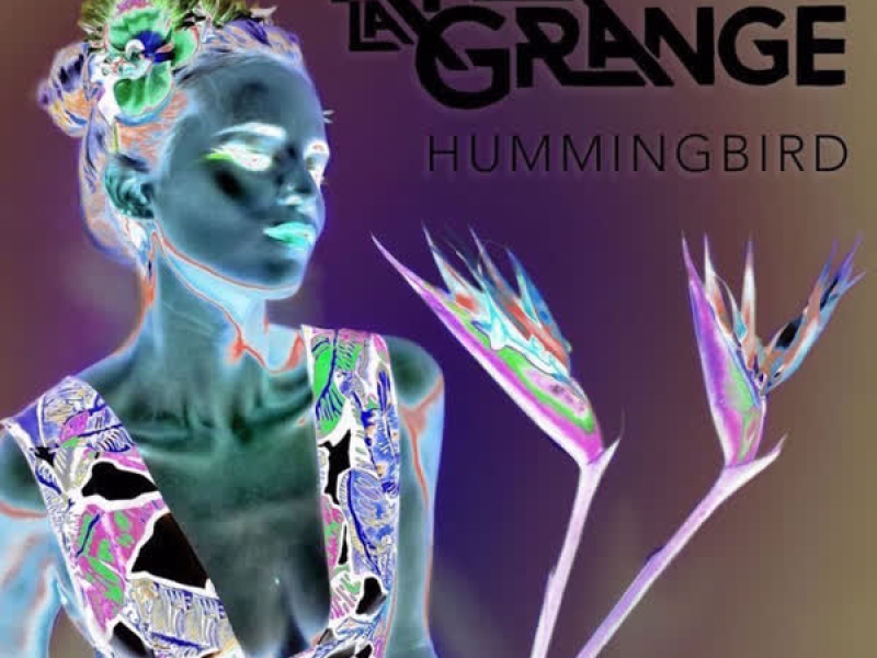 Hummingbird (OX2 Remix) (Single)