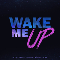 Wake Me Up (Single)