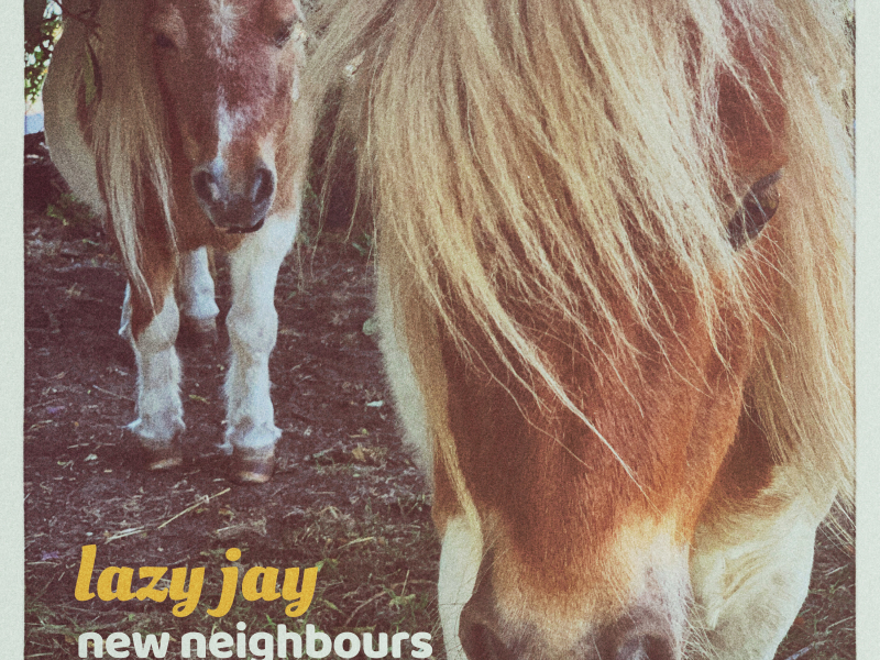 New Neighbours (Single)