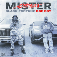 Mister (Remix) (Single)