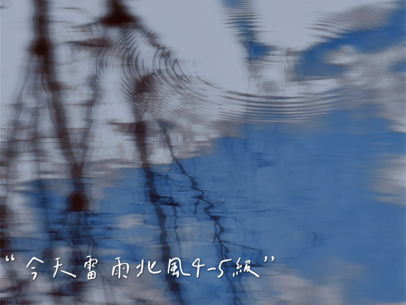 今天雷雨北风4-5级 (Single)