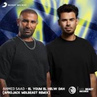 El Youm El Helw Dah (AFROJACK MDLBEAST Remix) (Single)