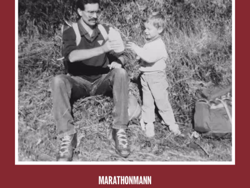 Deflektorschild (Single)