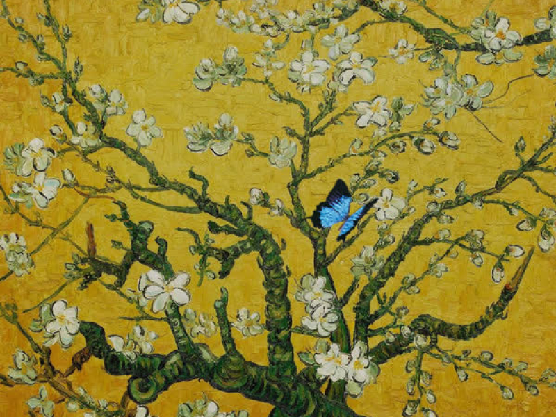 golden hour (sped up) (Single)