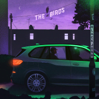 THE BIRDS (Single)