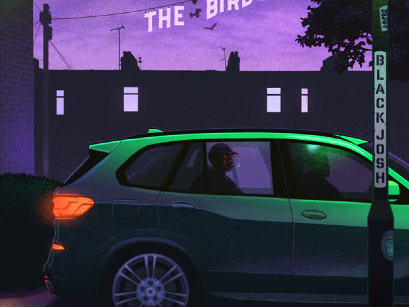 THE BIRDS (Single)