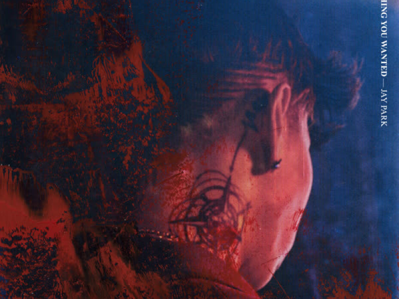 EVERYTHING YOU WANTED