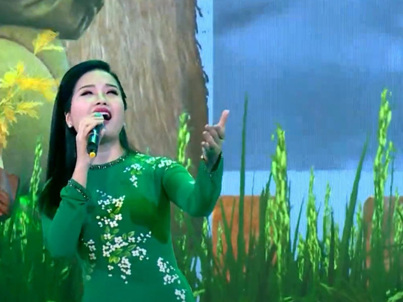 Đường Cày Đảm Đang (Đại Hội Thi Đua Yêu Nước Lần V) (Single)