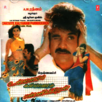 Unnaiye Kalyanam Pannikkiren