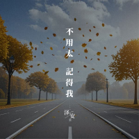 不用太记得我 (Single)