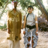 Bird W/O Nest (Single)