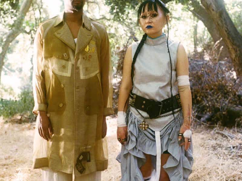 Bird W/O Nest (Single)