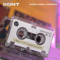 BDNT (Bakit Di Na Lang Tayo) (Single)