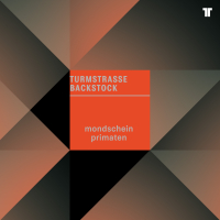 Mondschein Primaten (EP)