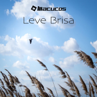 Leve Brisa (Single)