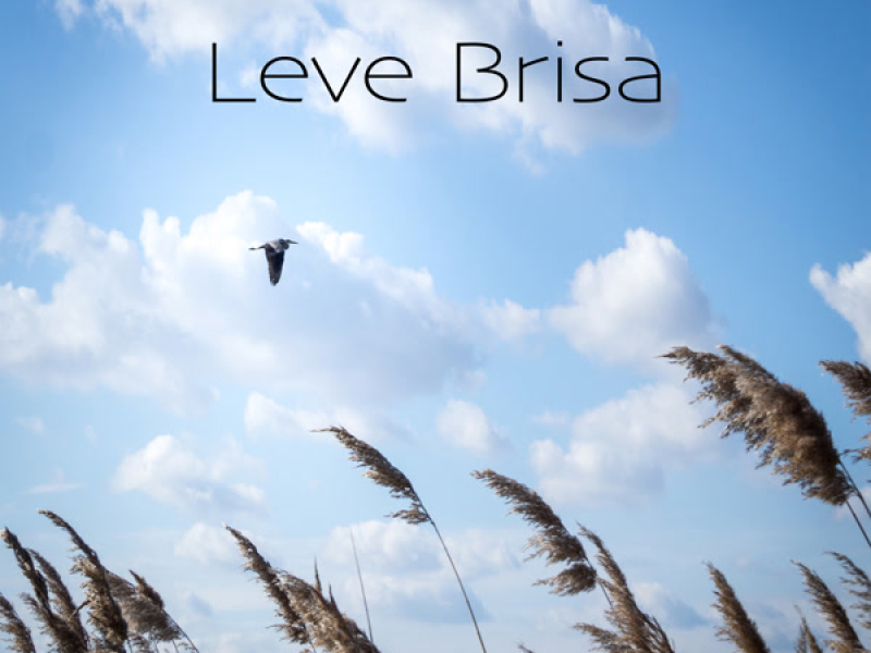 Leve Brisa (Single)