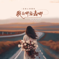 我在哪要去哪 (Dj京仔国粤双语版) (Single)