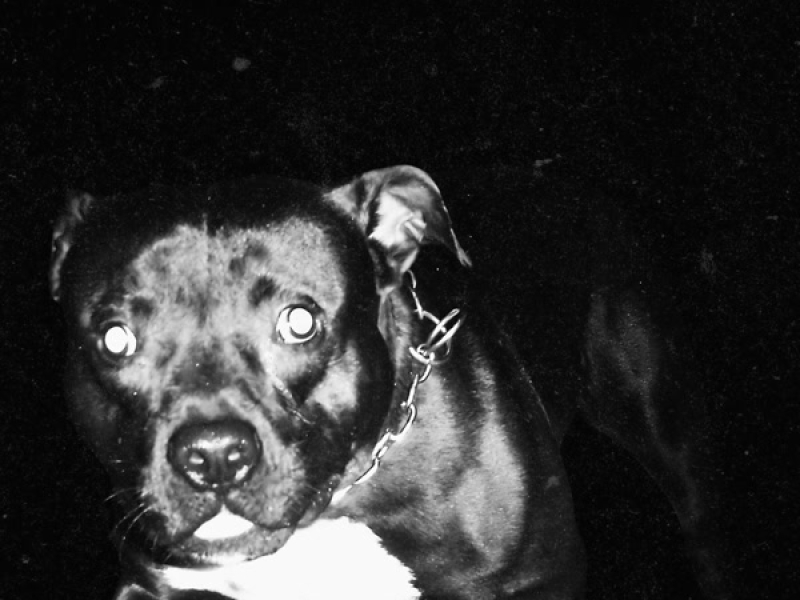 Armamento Russo (Single)