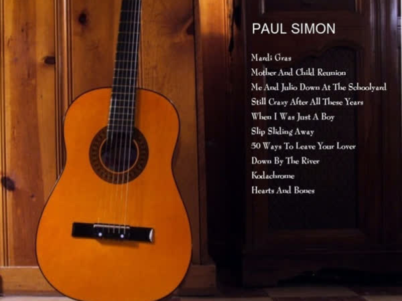 Acoustic Portrait of Paul Simon