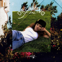 Dreaming Fool (Single)