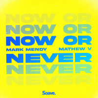Now or Never (Single)