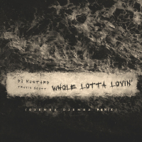 Whole Lotta Lovin' (Djemba Djemba Remix) (Single)
