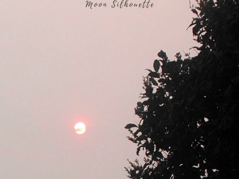 Moon Silhouette (Single)