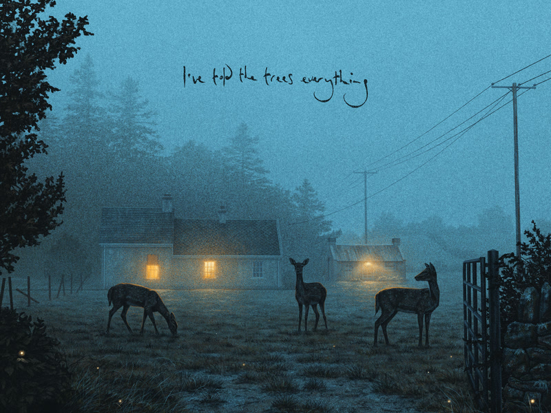 I've told the trees everything (Single)