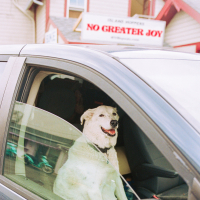 No Greater Joy (Single)