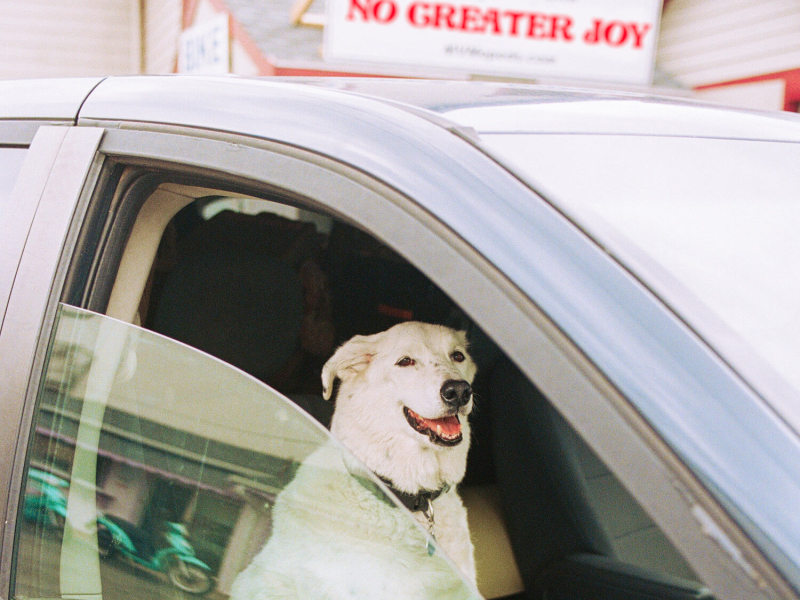 No Greater Joy (Single)